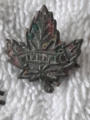 May 11, 2024 River Lot Hunt 153-154