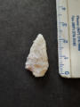 May 11, 2024 - The Group Hunt and the Finds