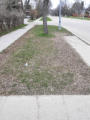 May 5, 2024 - Bus Stop