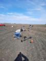 May 11, 2024 - The Group Hunt and the Finds