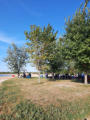 September 14, 2024. Beach Bonanza - Detecting Bird’s Hill Provincial Park