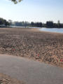 September 14, 2024. Beach Bonanza - Detecting Bird’s Hill Provincial Park