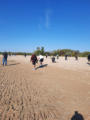 September 14, 2024. Beach Bonanza - Detecting Bird’s Hill Provincial Park