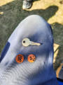 September 14, 2024. Beach Bonanza - Detecting Bird’s Hill Provincial Park