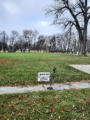 November 6, 2024 - One More Go At The Letellier Church Site