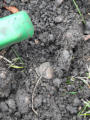 November 6, 2024 - One More Go At The Letellier Church Site