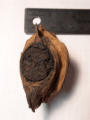 February 1, 2025 Carbon 14 Testing and Dendrochronology