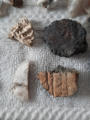 May 24, 2025 - Ground Finds