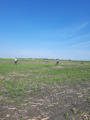 June 21, 2025 - An Exceptional Group Hunt
