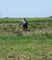 June 21, 2025 - An Exceptional Group Hunt