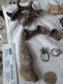 June 21, 2025 - An Exceptional Group Hunt