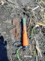 June 21, 2025 - An Exceptional Group Hunt
