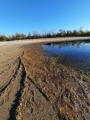 October 7, 2025 - St. Malo Reservoir: Drained!