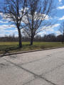 May 7, 2026 - Churchill Dive Park in Riverview