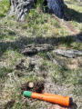 May 7, 2026 - Churchill Dive Park in Riverview