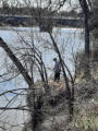 May 7, 2026 - Churchill Dive Park in Riverview