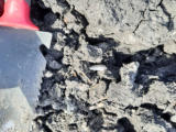 June 7, 2026 - Sweep of a Construction Zone