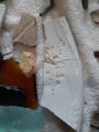 January 24, 2026 - Glass, Ceramics, and Sherds.