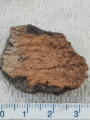 January 24, 2026 - Glass, Ceramics, and Sherds.
