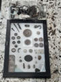 March 20, 2026 - Display Cases