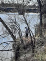 May 7, 2026 - Churchill Dive Park in Riverview