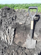 June 7, 2026 - Sweep of a Construction Zone