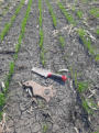 May 24, 2025 - Ground Finds
